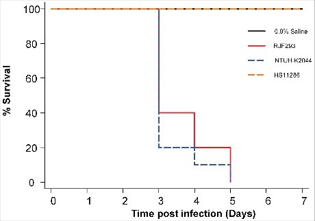 Figure 1. Kaplan-Meier survival curves for K. pneumoniae RJF293 infected mice. Mice were infected with 103 CFU of different K. pneumoniae strains intraperitoneally. The previously reported hvKP strain NTUH-K2044 (ST23, K1 serotype), cKP strain HS11286 (ST11, KL103 serotype) and saline were applied as the controls. RJF293 showed virulence not statistically significant from that of NTUH-K2044 (p > 0.6, by log-rank test). No death of mice in the HS11286 or saline groups was observed during seven days.