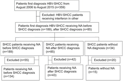 Figure 1 Flow diagram shows exclusion criteria.Abbreviations: HBV-SHCC, hepatitis B virus-small hepatocellular carcinoma; NA, nucelos(t)ide analog.
