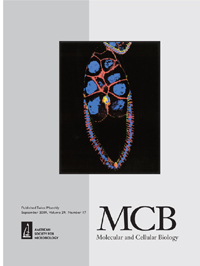 Cover image for Molecular and Cellular Biology, Volume 29, Issue 17, 2009