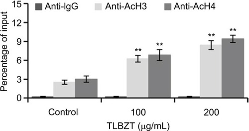 Figure 5 Effects of TLBZT on histone H3 and H4 acetylation at the p21 promoter region.