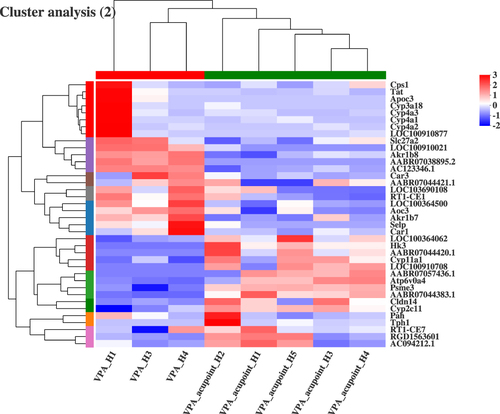 Figure 12 Results of cluster analysis (VPA group vs VPA_acupuncture group).