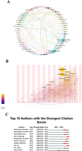 Figure 4 (A) Author co-occurrence map. Circles and text labels constitute a node, with different colors representing distinct clusters. (B) Temporal overlay of the author’s collaborative network. Each sphere symbolizes an author, and the combined size of overlapping spheres, representing the sum of their sizes along the yearly ring line, corresponds to the total number of authored articles. Purple-red indicates earlier publications by the author, yellow signifies recent publications, and overlapping colors denote multi-year publishing. Overlapping colors on the spheres create a ring-like pattern. Connections between nodes in temporal zones depict collaborative occurrences among authors. (C) Top 10 authors with the most significant citation bursts in publications related to “artificial intelligence-musculoskeletal diseases”.