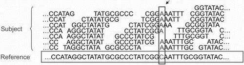 Figure 5. MapReduce, for short read mapping. Many subject reads are aligned with the reference using multiple compute nodes and detects variation. In this figure, nucleotide shown in the box depicts the variants.