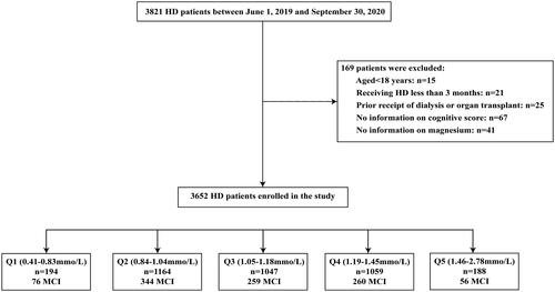 Figure 1. Flow chat of the study. HD: hemodialysis; MCI: mild cognitive impairment.