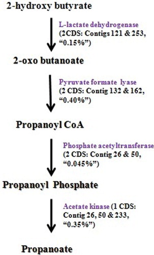 Figure 5. Propanoate metabolism: number of CDS present in the genome (gi|507135708|gb|ASRV00000000) for the enzymes involved, corresponding contig number, and the percentage of that enzyme CDS observed in buffalo rumen metatranscriptome data.