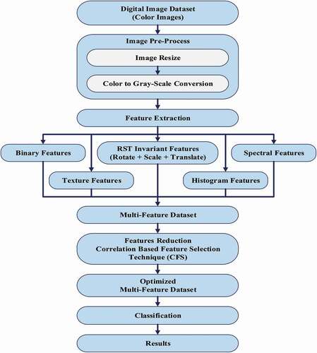 Figure 3. The canola seed classification framework