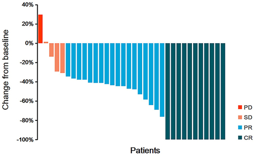 Figure 2 Percentage change of tumor size after the treatment. Each bar represents one patient with the best response in the dimension of target lesions.