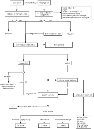 Figure 2 Flowchart for diagnosis and treatment of iNPH patients. The clinical diagnosis of a patient with at least one of the triad of symptoms, together with the imaging diagnosis of abnormal ventricular enlargement, can raise suspicion of iNPH. Medical history and cerebrospinal fluid biomarkers can also assist in the diagnosis. A positive TT can indicate that the patient is eligible for surgery, while a negative TT indicates that the patient requires further testing through an ELD. On the other hand, a positive ELD also indicates that the patient is eligible for surgery, while a negative ELD indicates that the patient requires conservative treatment. In addition, infusion testing can assist in measuring the intracranial pressure to determine the eligibility for surgery. Surgery is most often performed using shunt surgery, and ETV is an alternative surgical therapy.