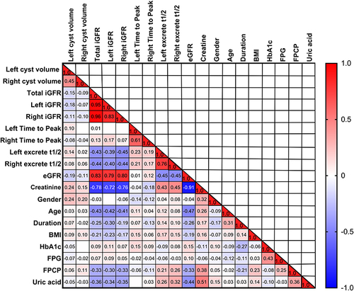 Figure 2 The heatmap depicts the correlation between cyst volume and other parameters. The correlation coefficient and the significance of critical parameters are shown as described in the text. The gradient in red represents the degree of positive correlation, while the gradient in blue represents the negative correlation, as shown by the color bar on the right side of the map.