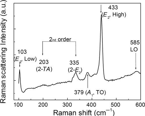 Figure 7. Raman scattering spectrum of the ZnO nanodisks.