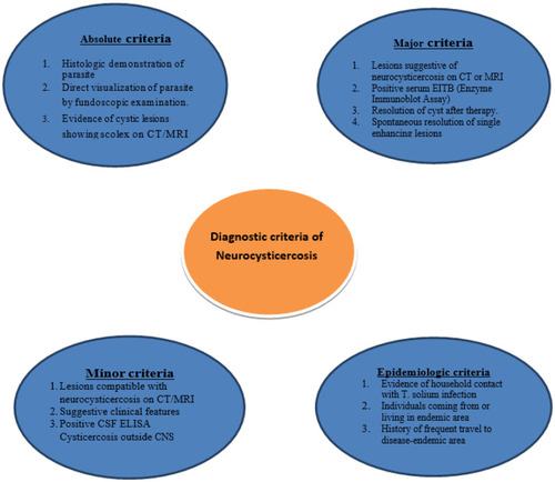 Figure 4 A drawing showing the diagnostic criteria for neurocysticercosis.