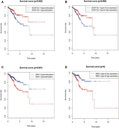 Figure 8 The survival analysis of candidate methylation-driven genes. (A) The survival analysis of gene DCAF12L1 methylation; (B) the combination of gene DCAF12L1 methylation and expression; (C) the survival analysis of gene MSX1 methylation; (D) the combination of gene MSX1 methylation and expression.