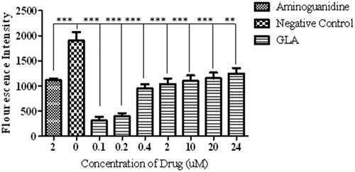 Figure 1. Effect of various concentrations of GLA on the formation of AGEs. The data are expressed as mean ± SEM (n = 6) of fluorescence intensity, which co-relates with the production of AGEs. The GLA (0.1, 0.2, 0.4, 2, 10, 20 and 24 μM) appeared to be more effective in reducing the AGE formation at lower doses. The positive control (aminoguanidine) also exhibited the decline in the production of AGEs.