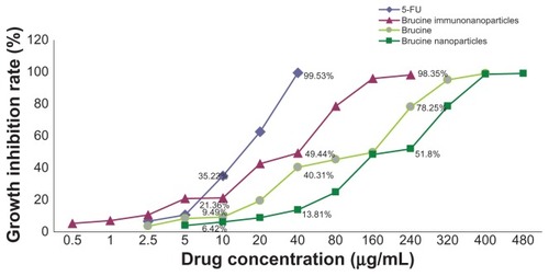 Figure 6 The growth inhibition curve of the brucine immuno-nanoparticles on liver cancer cells. Brucine immuno-nanoparticles have more significant inhibitory effects on the hepatoma cells SMMC-7721 than brucine or brucine nanoparticles for 72 hours. Time- and dose-dependent effects were observed.