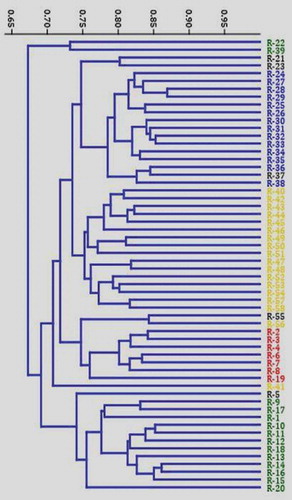 Figure 5. Dendrogram showing the relationships among the 58 Coffea canephora germplasm accession analyzed using combined SRAP and SCoT data based on Jaccard’s similarity index