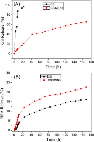 Figure 5. In vitro release of GS (A) and BSA (B) in PBS solution at 37 °C from both CS and CS/MSN hydrogels.