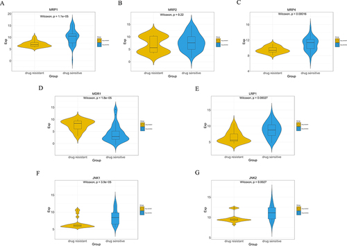 Figure 2 The expressions of JNK1, JNK2, MRP1, MRP2, MRP4, P-gp and LRP1 in NSCLC were analyzed by GEO Database. Violin plots illustrating the expression differences of each protein between the drug-sensitive group and drug-resistant group. (A) MRP1, (B) MRP2, (C) MRP4, (D) P-gp (MDR1), (E) LRP1, (F) JNK1, (G) JNK2.