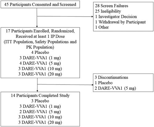 Figure 1. Disposition of participants. IP, investigational product; ITT, intent to treat; PK, pharmacokinetic.