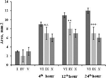 Figure 4. Stomach ulcer area (mm2) of mice 4–24 h after irradiation exposure. The experimental groups are designated as described in Table 1. Statistical significance: *** p < 0.001 vs. Group I; +++ p < 0.001 vs. Group VI; ++ p < 0.01 vs. Group VI; n.s. – non-significant.