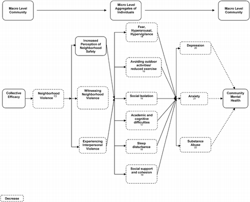 Figure 2 Pathway diagram depicting collective efficacy as social determinants of mental health mediating community mental health outcomes. Notes: 13. Sampson et al. Citation1997, Citation2002, Leventhal and Brooks-Gunn Citation2003, Sampson Citation2003, Sabol et al. Citation2004, Almgrem Citation2005, Odgers et al. Citation2009, Yonas et al. Citation2009, Mazerolle et al. Citation2010, 14. Kruger et al. Citation2007, Stafford et al. Citation2007, Curry et al. Citation2008, Johnson et al. Citation2009, Roman et al. Citation2009, 15. Leventhal and Brooks-Gunn Citation2003, Sampson Citation2003, Sabol et al. Citation2004, 16. Johnson et al. Citation2002, Stafford et al. Citation2007, Stockdale et al. Citation2007, Johnson et al. Citation2009, 17. Margolin and Gordis Citation2004, Stafford et al. Citation2007, Foster and Brooks-Gunn Citation2009, 18. Margolin and Gordis Citation2004, Johnson et al. Citation2009, 19. Kruger et al. Citation2007, Stafford et al. Citation2007, Stockdale et al. Citation2007, Johnson et al. Citation2009, 20. Johnson et al. Citation2002, Margolin and Gordis Citation2004, Kruger et al. Citation2007, Stafford et al. Citation2007, Stockdale et al. Citation2007, Curry et al. Citation2008, Foster and Brooks-Gunn Citation2009, Johnson et al. Citation2009, 21. Johnson et al. Citation2002, Margolin and Gordis Citation2004, Stafford et al. Citation2007, Stockdale et al. Citation2007, 22. Stafford et al. Citation2007, Stockdale et al. Citation2007, Johnson et al. Citation2009