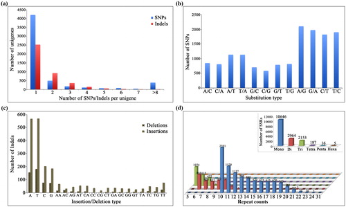 Figure 4. Number of SNPs, Indels and SSRs in J. curcas. (a) Number of SNPs and Indels detected per unigene. (b) Frequencies of substitution types for different SNPs. (c) Frequencies of different indels. (d) Distribution of SSRs in J. curcas expressed sequence tags (EST) and the insert shows the distribution of the total number of SSRs in mono-, di-, tri-, tetra-, penta- and hexa-nucleotide repeats.