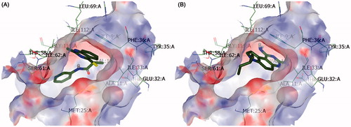 Figure 1. Interaction of 2-(2-methyl-quinazolin-4-ylthio)-N-phenylpropionamide (4.6) (A) and reference (7-(pentan-3-yl)-7H-pyrrolo[3,2-f]quinazoline-1,3-diamine) (B) into the DHFR binding site.