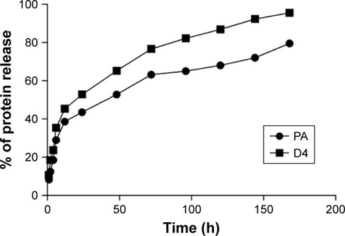 Figure 5 In vitro release profile of PA and D4 from NISV.Notes: Nanoparticle formulations were suspended in 1× PBS at 37°C. Samples were collected at different time intervals and protein content estimated by micro-BCA assay kit. The release curve suggests an initial burst release of protein within 24 hours followed by a gradual release kinetics.Abbreviations: BCA, bicinchoninic acid; D4, PA Domain 4; NISV, nonionic surfactant–based vesicles; PA, protective antigen.