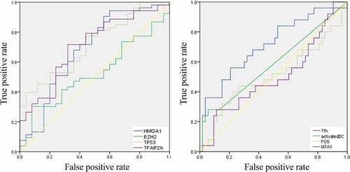 Figure 9. ROC curves for validation the occurrence of MG in thymoma patients