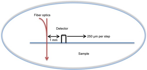 Figure 2 A schematic description of the experimental setup for linear reflected light intensity measurements.Notes: The laser diode wavelengths were 650 nm and 780 nm and the sample is simultaneously irradiated (described as an arrow) on a single point on its surface. The photodiode was in close contact with the phantom’s surface. The micrometer plate moved 16 steps of 250 µm each, enabling continuous measurements of the spatial reflectance from 1 mm up to 5 mm from the laser diode position.