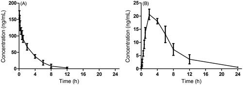 Figure 4. The pharmacokinetic profiles of DHM in rats after intravenous administration of DHM (A) at dosage of 2 mg/kg and oral administration of DHM (B) at 20 mg/kg.