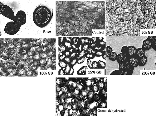 FIGURE 3 Microscopic images (x100 magnification) of fresh raw pea and test pea samples after 90 day frozen storage at –20°C.