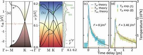 Figure 7. (a) DFT Band structure of graphene in the vicinity of the Dirac cone along the M-K high-symmetry path in the Brillouin zone. (b) Left: Phonon dispersion of graphene obtained from DFPT. Right: Phonon density of states (F) and Eliashberg function (α2F) of graphene. The peaks at 0.16 and 0.19 eV reflect the strong coupling to transverse optical (TO) and longitudinal optical (LO) phonons in the vicinity of the K and Γ points, respectively [green dots in panel (b)]. (c-d) Pump-probe photoemission measurements of the effective electronic temperature Tel of graphene (dots) for photo-excitation fluences F=8J/m2 (c) and (d) F=3.46J/m2 from Refs. [Citation78,Citation79]. Simulations based on the NLM (more precisely, three-temperature model) with first-principles parameters are reported as continuous lines. Panels (a-b) and (c-d) are adapted from Ref. [Citation70] and Ref. [Citation81], respectively.