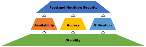 Figure 1. The four pillars of global food and nutrition security as defined by the UN Food and Agricultural Organisation (FAO) (Citation2017c).