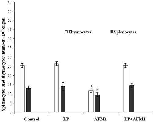 Figure 1. Changes in spleen and thymus cellularity. Mice were orally exposed daily to AFM1 (100 mg/kg BW), LP (109 CFU/L, ∼1 mg/kg BW), or AFM1 + LP for 15 days. Controls received vehicle only each day. Data shown are mean (±SD). aValue significantly different from vehicle control (p < 0.05).