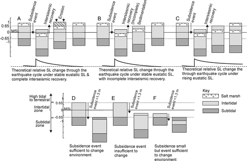 Figure 7  Simplified illustrations showing how event stratigraphy is preserved or not preserved within an intertidal inlet under different amounts of subsidence or SL change. A, If a sequence of intertidal sediment is undergoing sedimentation near the top of the intertidal depth range, then >1.3 m of subsidence is required to change the environment. B, If a sequence of intertidal sediment is undergoing sedimentation near the top of the intertidal depth range and <1.3 m of subsidence occurs then the environment may not be noticeably changed, i.e. no evidence of an event preserved. C, If a sequence of intertidal sediment is undergoing sedimentation near the base of the intertidal depth range then an event of <1.3 m can change the environment. D, This scenario illustrates how evidence of a subsidence event may be eroded from the sedimentary sequence under conditions of complete interseismic recovery and stable SL. E, This scenario shows how under stable SL the stratigraphic evidence of a subsidence event may be preserved if there is incomplete interseismic recovery. F, This scenario shows that even with complete interseismic recovery of coseismic subsidence, rising SL will help to preserve evidence of the event.