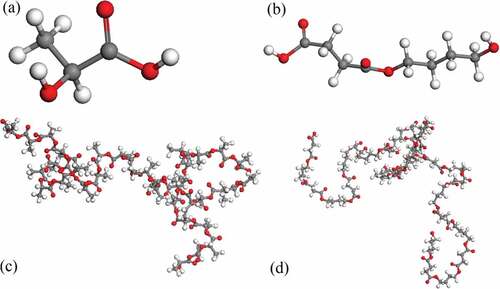 Figure 2. Structures of (a) PLA monomer, (b) PBS monomer, (c) PLA with 36 repeating units and (d) PBS with 15 repeating units (red: oxygen; white: hydrogen; gray: carbon).
