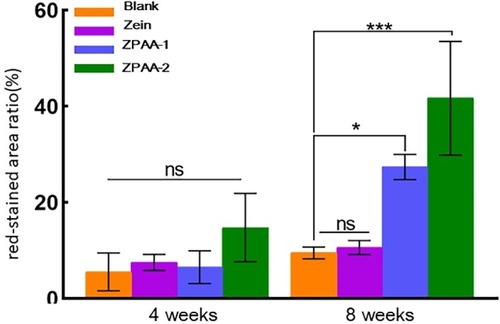 Figure 8 Semiquantitative results of red-stained area ratio based on Masson staining. ns > 0.5, *p < 0.05, ***P < 0.001.