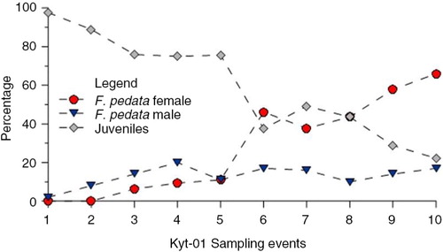 Fig. 7  Population structure of Fabaeformiscandona pedata in the monitored pond Kyt-01 throughout the summer season from 20 July 2011 to 25 August 2011, measured at four-day intervals.