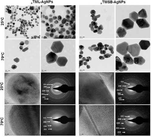 Figure 4 HRTEM micrographs and SAED patterns of selected TM-AgNPs.Notes: The size, shapeand SAED patterns of aTML-25°C and mTML-70°CAgNPs were analyzed by HRTEM. Scale bar from 20 to 50 nm.Abbreviations: AgNPs, silver nanoparticles; TM, Terminalia mantaly; aTML, aqueous TM leaf extract; aTMSB, aqueous TM stem bark; HRTEM, high resolution transmission election microscope; SAED, selected area electron diffraction.