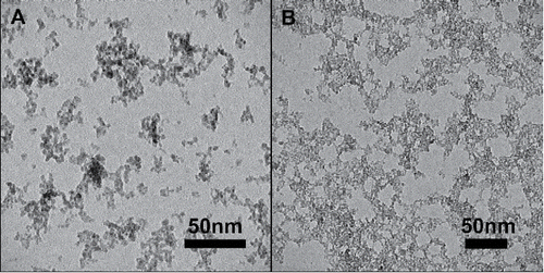Figure 2. Transmission electron microscope images of iron oxide and iron oxide/silicon oxide composite nanoparticle aggregates synthesized using the flame aerosol system. (a) Fe; (b) 1:4 Si:Fe.