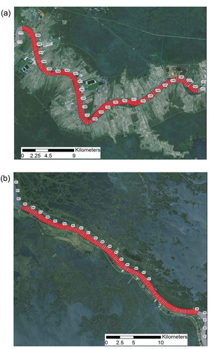Figure 2. The bathymetric cross-sections in UR (a) and LR (b) reaches (see Figure 1 for the locations). Each cross-section contains ~20 to 30 soundings labelled in red dots. The numbers represent River Miles. Note that although the original hydrographic surveys were labelled in English unit (mile, feet), all the calculated results are converted into metric system.
