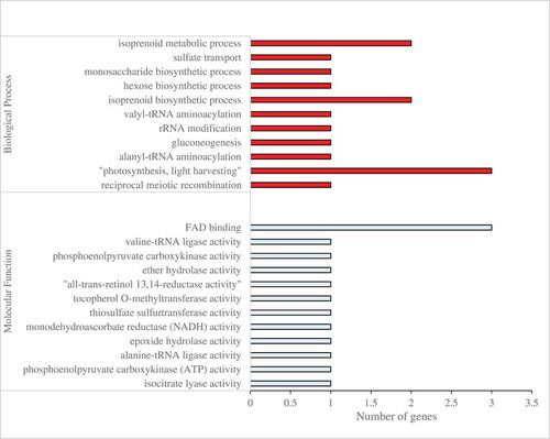 Figure 4. Functional analysis of DEGs between the UV-B treatment and control groups in the somatic cells based on gene ontology. GO category was presented for two major functional categories, namely biological process and molecular function.