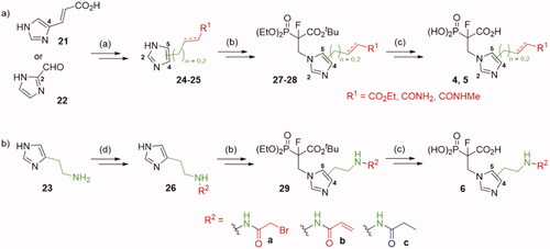 Scheme 3. Strategies used for the synthesis of α-phosphonocarboxylates 4–6. Reagents and conditions: (a) Scheme S10–14; (b) tert-butyl 2-(diethoxyphosphoryl)acrylate, NaH, THF, then NFSI, THF; (c) (I) bromotrimethylsilane, TEA, acetonitrile, (II) EtOH, (III) TFA; (d) (I) 23, phthalic anhydride, AcOH, (II) Ph3Cl, TEA, (III) hydrazine hydrate, MeOH, (IV) acyl halide, DCM, (V) TFA, DCM.