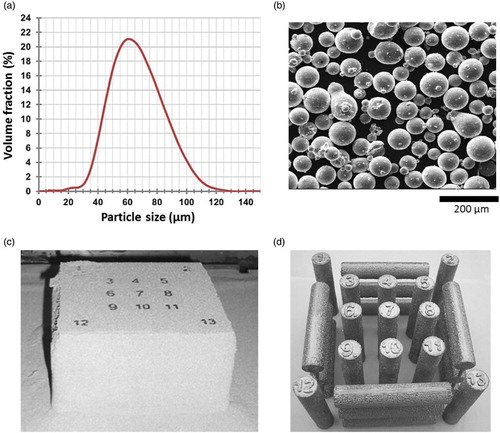 2 a Typical particle size distribution of a gas atomised powder (here: CMSX-4), b Ti–6Al–V4: SEM of the powder particles. Non-spherical particles, particle agglomerates and satellites are visible. c Sintered powder block (Ti–6Al–4V), d c after removing the powder by sand blasting with the same powder