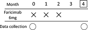 Figure 1 Treatment protocol. Intervention schedule for patients with age-related macular degeneration treated with faricimab. We administered three, monthly injections of 6 mg faricimab, and evaluated the efficacy two months after the third injection (month 4). Clinical data were collected at baseline and month 4. ×, Faricimab injection (6 mg); 〇, clinical data collection; □, efficacy endpoint.