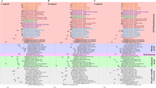 Fig. 2 The ML phylogenetic tree of phleboviruses built based on the complete sequences of the L (a), M (b), and S (c) segments. The branches of five groups of Phleboviruses are labeled with different colors. GTV is labeled with a black solid circle and shown in bold red characters. HRTV sequences are indicated by bold black characters. SFTSV sequences are shown in bold characters, and five genotypes are distinguished by different colors: C1 in green, C2 in chocolate, C3 in khaki, C4 in purple, and J in cyan. Trees were constructed using Mega 5.0 and tested by the bootstrap method with 1000 replications. Bootstrap values greater than 50% are shown at each node