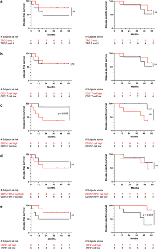 Figure 2. Pre-CRT biopsies containing low CD11c+ myeloid cell density and high IRF8+ cell density associated with improved survival outcomes.