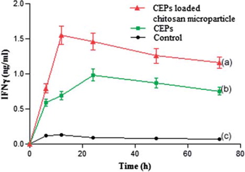 Figure 5. Secretion of IFN-γ form THP1 cell line stimulated with (a) CEPs loaded chitosan microparticle; (b) CEPs; and (c) control (n = 3).