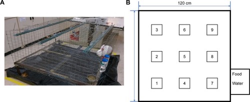 Figure 3 (A) Picture of the animal behavior cage. (B) Map of the sensor placement over the animal behavior cage. Food and water were placed under sensor number 7.