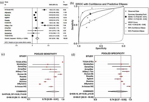 Figure 5. Results of SYNJ2 levels and diagnostic value. (a) Forest plots for SYNJ2 levels in HCC based on in-house IHC and different platforms. (b) SROC curve demonstrating performance of SYNJ2 in diagnosing HCC. (c) Pooled sensitivity and (d) specificity forest plots of SYNJ2